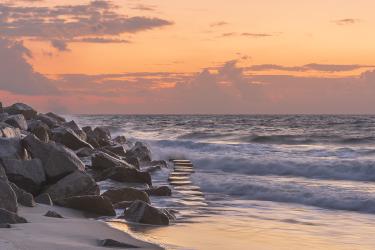 Thumbnail of Fort Fisher Elements