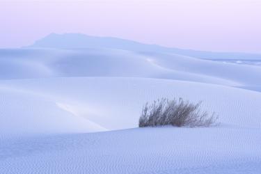 Thumbnail of White Sands