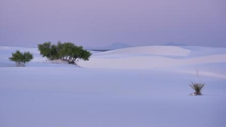 Thumbnail of White Sands