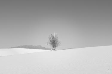 Thumbnail of White Sands