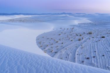 Thumbnail of Another Planet