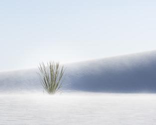 Thumbnail of White Sands