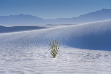 Thumbnail of White Sands