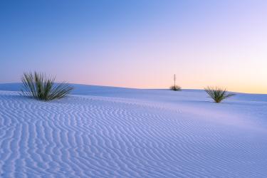 Thumbnail of Stillness